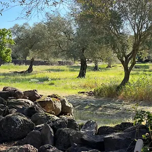  Holiday home Muristene Pozzo Santa Cristina